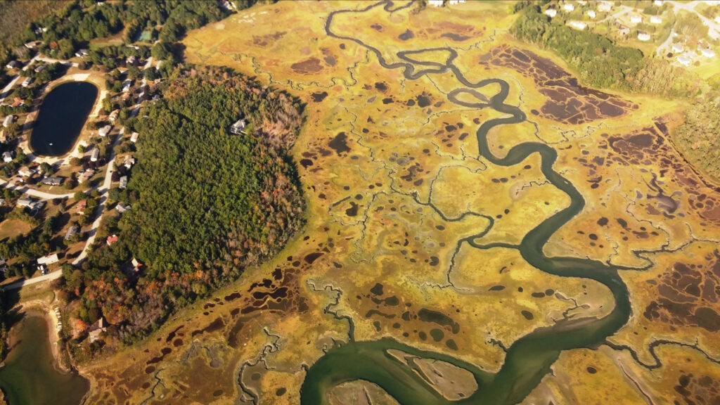 Restoration and conservation project planning in Maine’s Scarborough Marsh — one of the coastal zone management projects recommended for funding under the Bipartisan Infrastructure Law — will improve public access and protect areas for marsh migration. (Image credit: Scarborough Land Trust)