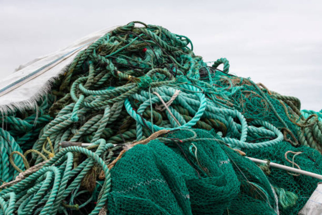 image: istockphotos