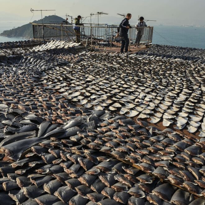 Image Credit: gettyimages.com