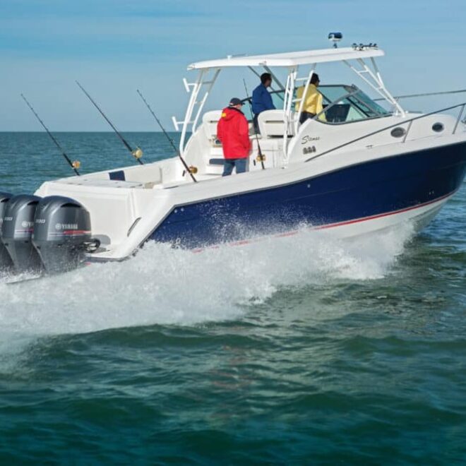 image credit: saltwatersportman.com