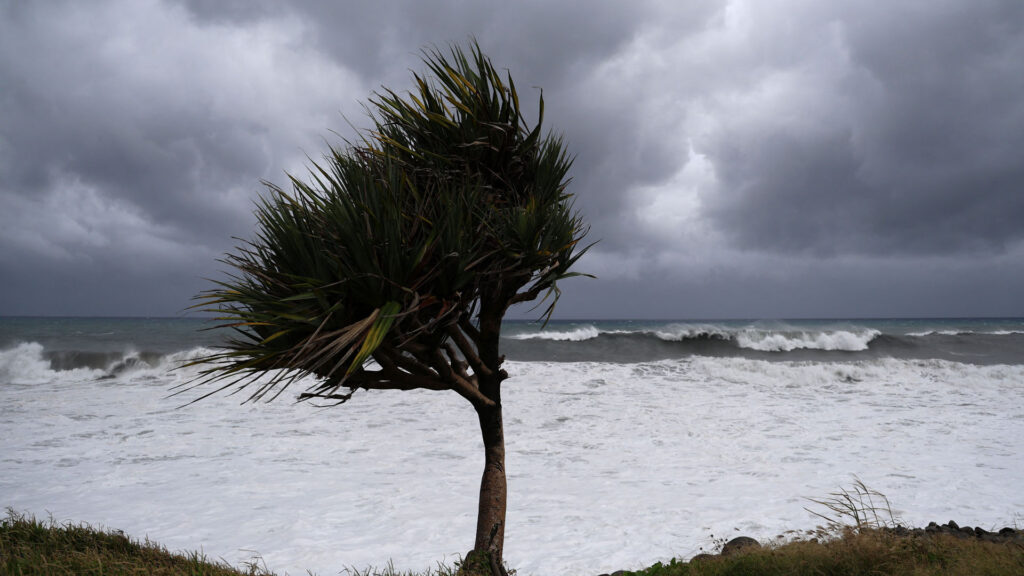 Image credit: gettyimages.com
