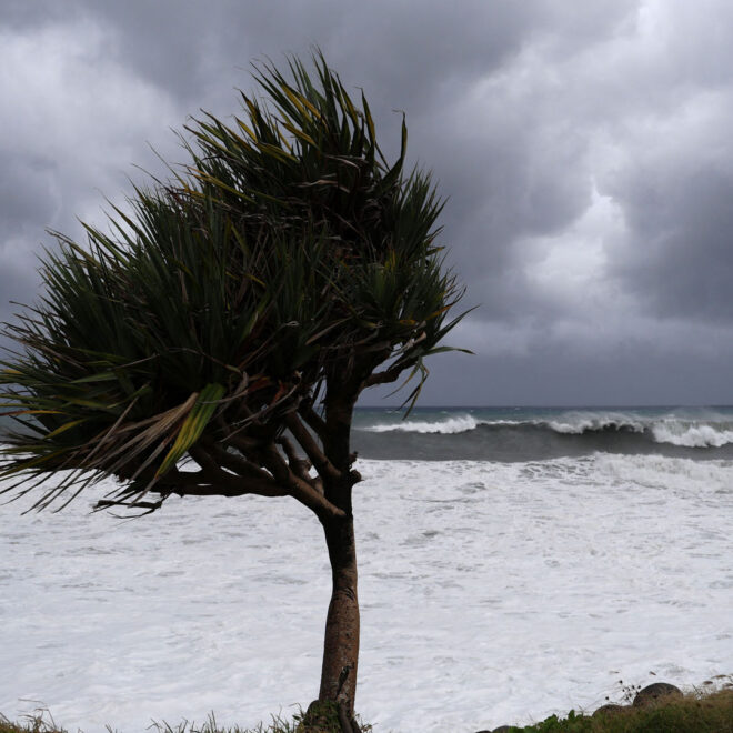 Image credit: gettyimages.com