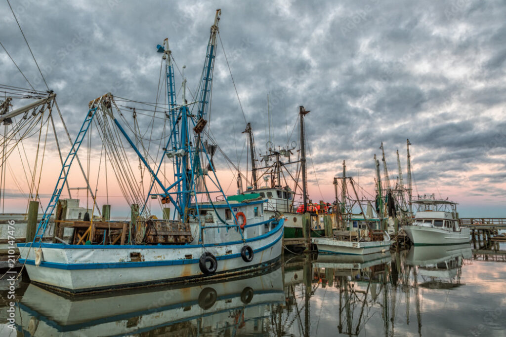 Image Credit: adobe stock images