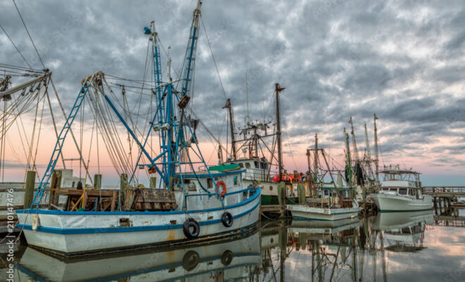 Image Credit: adobe stock images