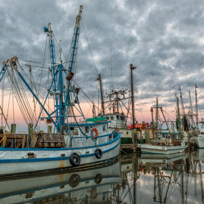 Image Credit: adobe stock images