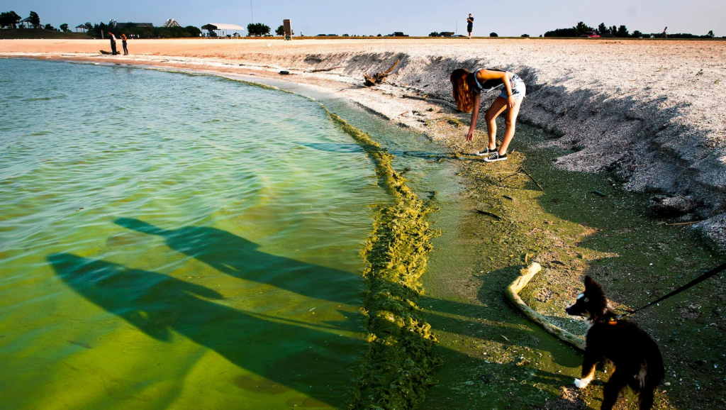 Images: Gettyimages