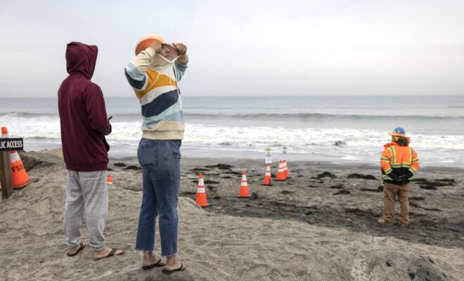 Image Credit: sandiegouniontribune.com