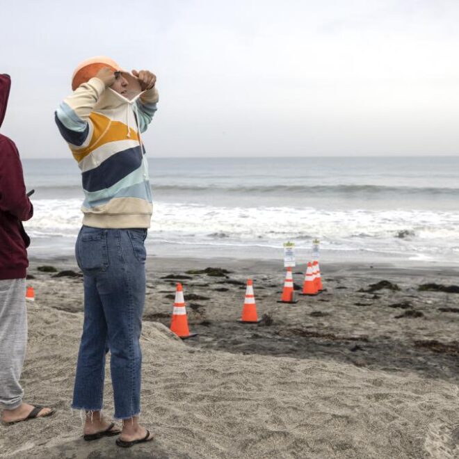 Image Credit: sandiegouniontribune.com