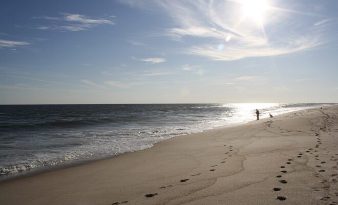 Beach in East Hampton, NY -- Nicole Mayone, CC BY-SA 2.0 , via Wikimedia Commons