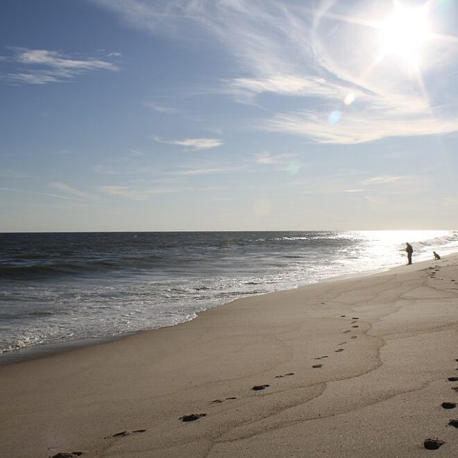 Beach in East Hampton, NY -- Nicole Mayone, CC BY-SA 2.0 , via Wikimedia Commons