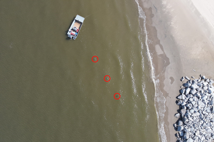 These toy sea turtles, circled in red, were photographed using a drone flying at 128 feet altitude. Credit: NOAA Fisheries