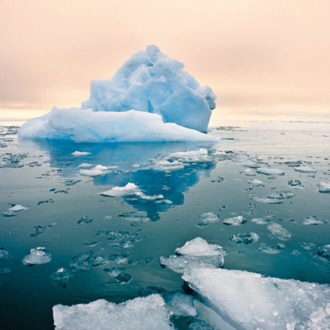 Image Credit: shutterstock.com