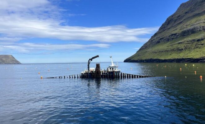 Image Credit: fisheries.noaa.gov.