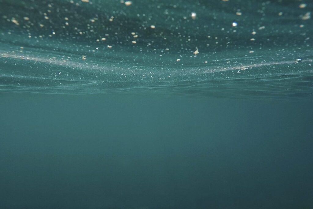 Image Credit: Rawpixel.com.