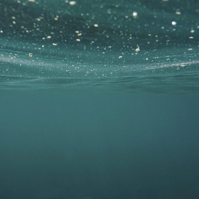 Image Credit: Rawpixel.com.