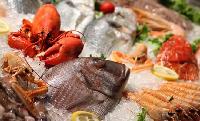 Seafood on ice for display. Credit: Shutterstock