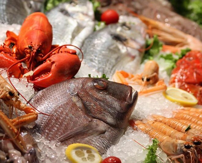 Seafood on ice for display. Credit: Shutterstock