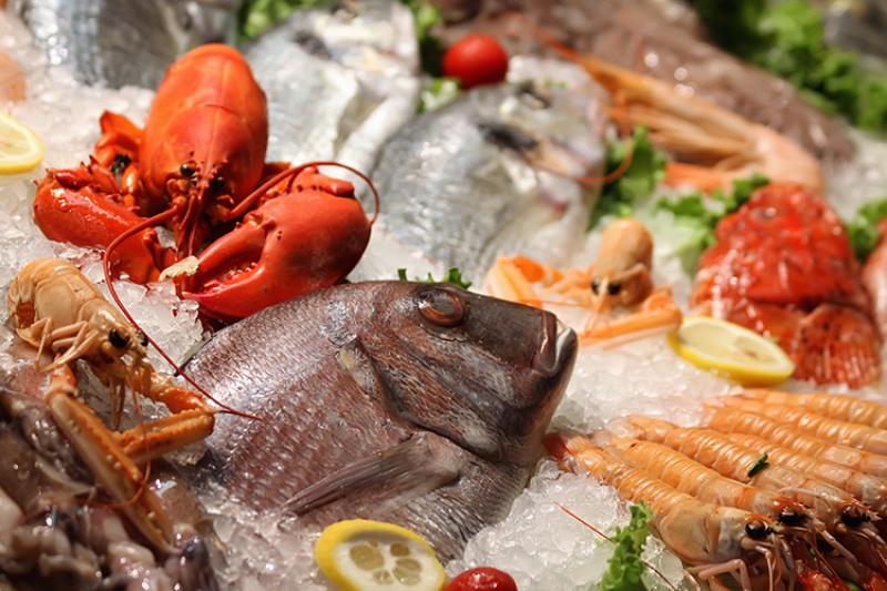 Seafood on ice for display. Credit: Shutterstock