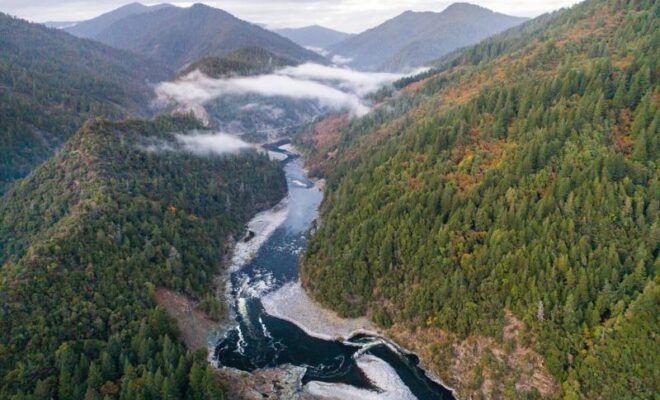 The removal of four large dams from the Klamath River allows salmon to again reach about 400 miles of their original habitat that had been blocked for many decades. Photo courtesy Jason Hartwick/Swiftwater Films