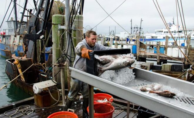 A fisherman unloading their catch at dock. Credit: NOAA Fisheries