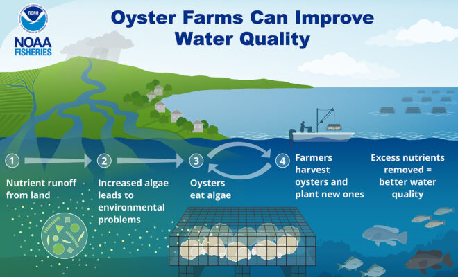 Image Credits: Fisheries.noaa.gov.