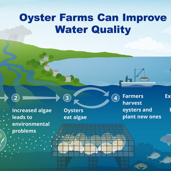 Image Credits: Fisheries.noaa.gov.