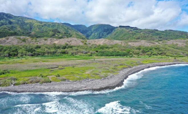 Waiheʻe Coastal Dunes and Wetlands Refuge. Credit: Hawaiʻi Land Trust