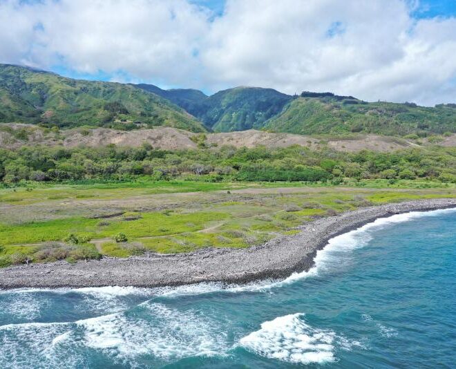 Waiheʻe Coastal Dunes and Wetlands Refuge. Credit: Hawaiʻi Land Trust