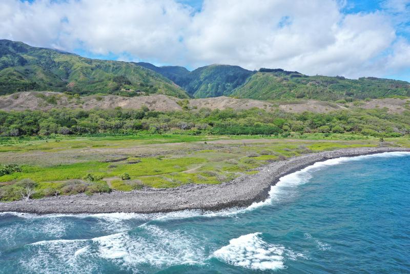 Waiheʻe Coastal Dunes and Wetlands Refuge. Credit: Hawaiʻi Land Trust