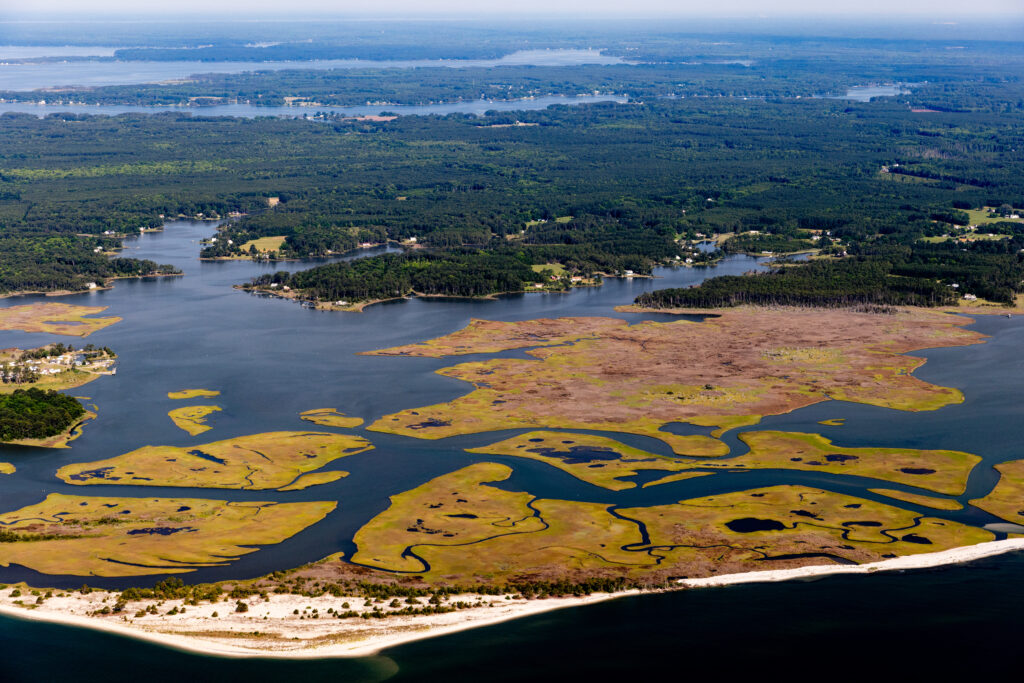Wetlands provide a buffer from wave energy for shorelines and communities behind them. But sea level rise, storms, and other challenges are causing wetlands to erode. We’re working to restore these important habitats. Photo: Chesapeake Bay Program/Will Parson.