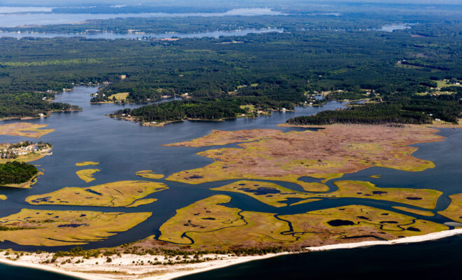 Wetlands provide a buffer from wave energy for shorelines and communities behind them. But sea level rise, storms, and other challenges are causing wetlands to erode. We’re working to restore these important habitats. Photo: Chesapeake Bay Program/Will Parson.