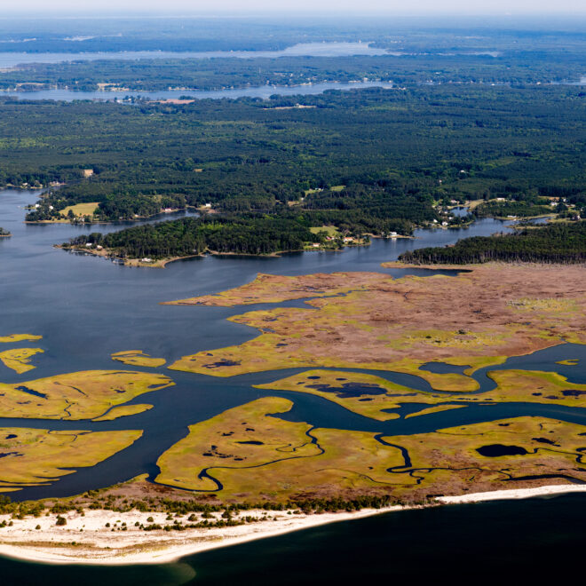 Wetlands provide a buffer from wave energy for shorelines and communities behind them. But sea level rise, storms, and other challenges are causing wetlands to erode. We’re working to restore these important habitats. Photo: Chesapeake Bay Program/Will Parson.