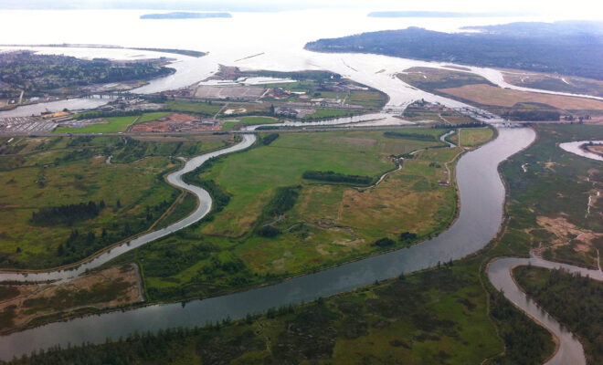 Image Credits: NOAA works in Washington's Snohomish River estuary to restore habitat for salmon and other fish species. Credit: NOAA Fisheries