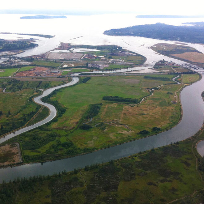 Image Credits: NOAA works in Washington's Snohomish River estuary to restore habitat for salmon and other fish species. Credit: NOAA Fisheries