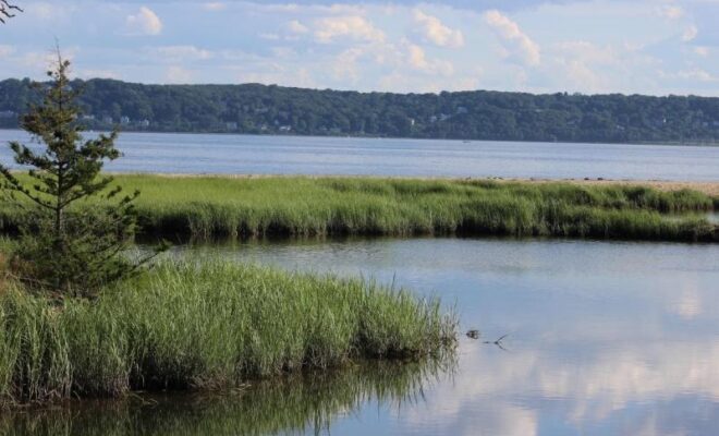Coastal marsh within the Sandy Hook Bay estuary. Credit: NOAA Fisheries/Jessie Murray