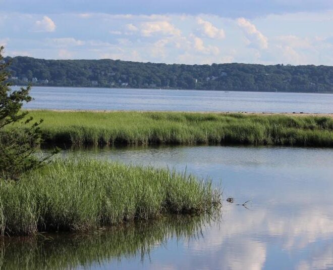 Coastal marsh within the Sandy Hook Bay estuary. Credit: NOAA Fisheries/Jessie Murray