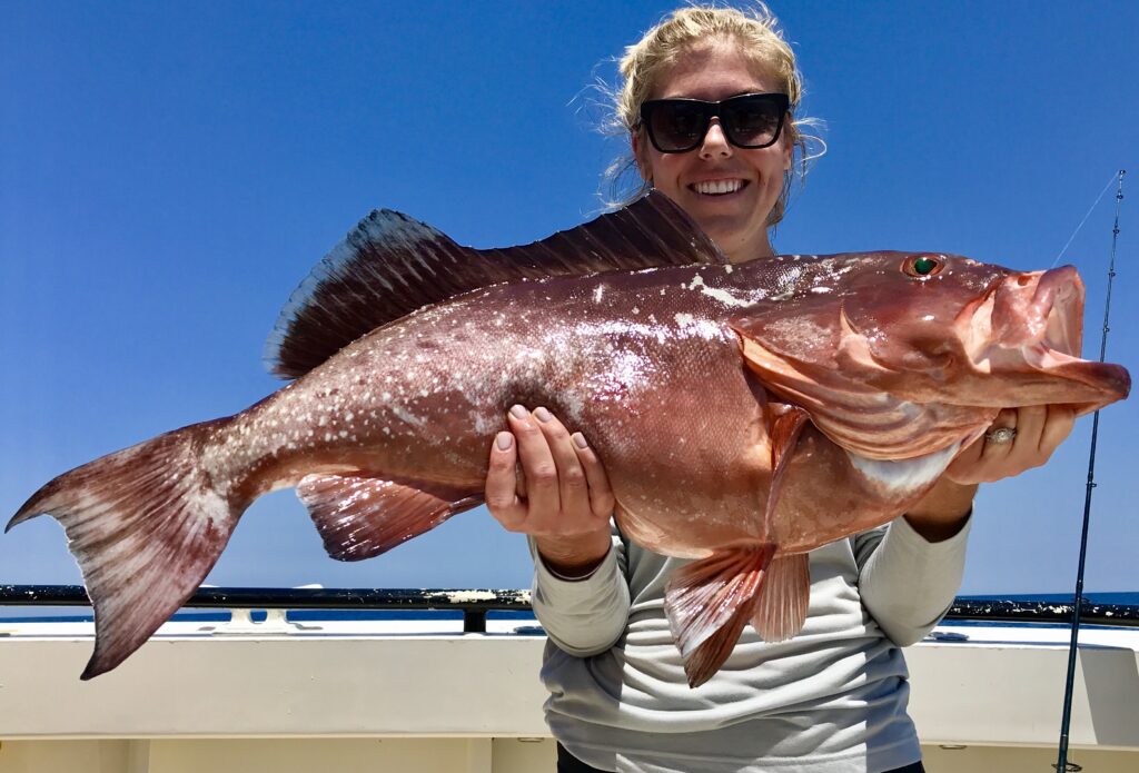 Image Credits: Noaa Fisheries.