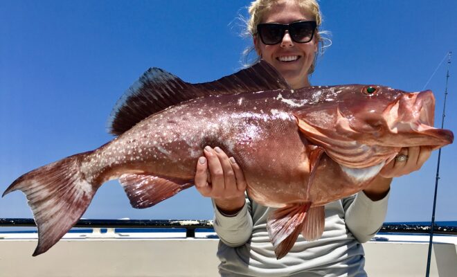 Image Credits: Noaa Fisheries.