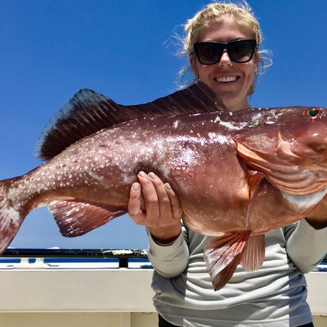 Image Credits: Noaa Fisheries.