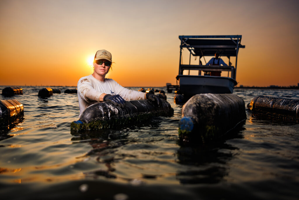 Thomas Piecuch flips floating oyster bags on his farm (Credit: Holy Ground Oyster Company).