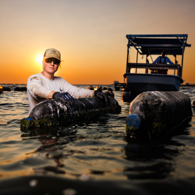 Thomas Piecuch flips floating oyster bags on his farm (Credit: Holy Ground Oyster Company).