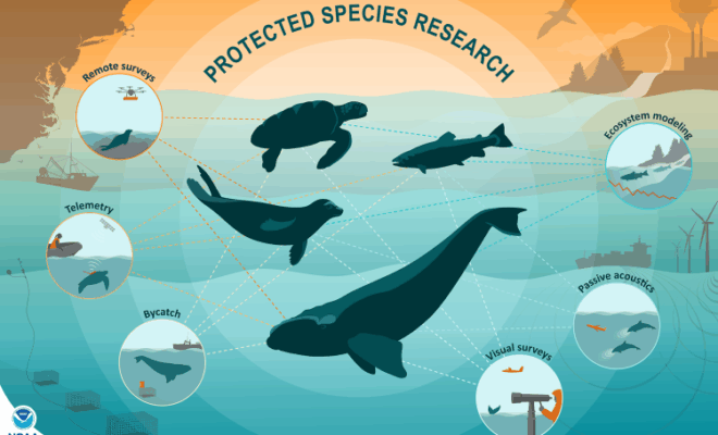 Image Credits: Noaa fisheries.