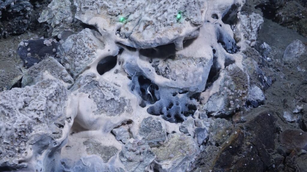 Close-up view of bacterial communities thriving at the vent site. The distance between the two green laser points is 9 cm, providing a scale for the dense microbial structures visible on the seafloor. (Photo by EXTREME25)