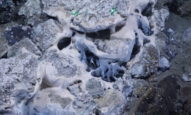 Close-up view of bacterial communities thriving at the vent site. The distance between the two green laser points is 9 cm, providing a scale for the dense microbial structures visible on the seafloor. (Photo by EXTREME25)
