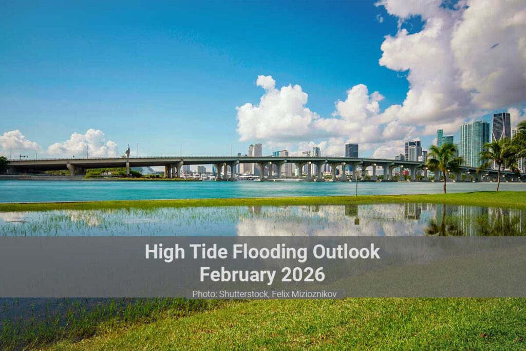 Miami King tide flooding in marsh along the shore