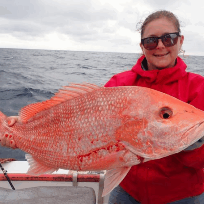 Red snapper, like the one pictured here, is a culturally and economically important fish for South Atlantic fishing communities. It is especially prized by recreational fishermen for their delicious taste and rewarding catch. (Image credit: NOAA Fisheries)