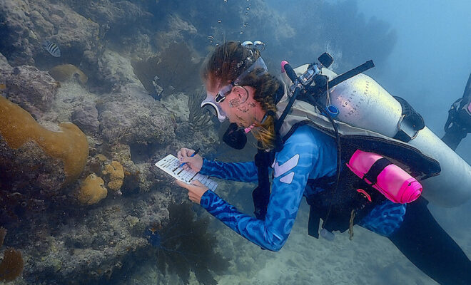 During the Coral Health Experience, divers record their observations of healthy, diseased, paling, or bleached corals on a dive slate, and later transfer the data to a state-wide public database. Photo: Rachel Plunkett/NOAA