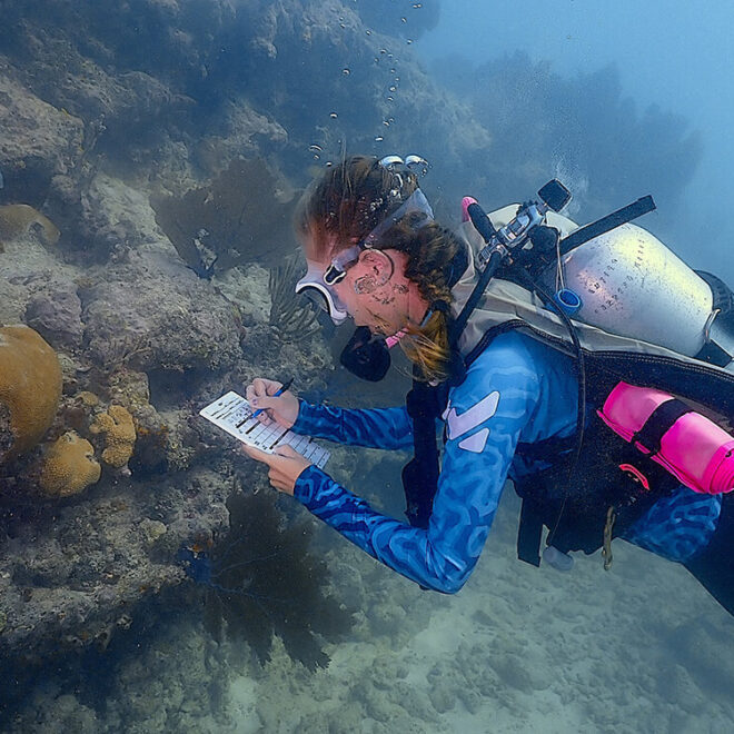 During the Coral Health Experience, divers record their observations of healthy, diseased, paling, or bleached corals on a dive slate, and later transfer the data to a state-wide public database. Photo: Rachel Plunkett/NOAA