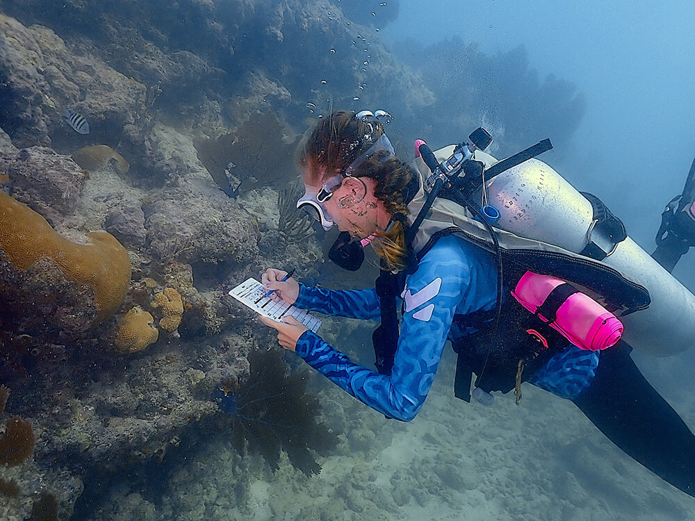 During the Coral Health Experience, divers record their observations of healthy, diseased, paling, or bleached corals on a dive slate, and later transfer the data to a state-wide public database. Photo: Rachel Plunkett/NOAA