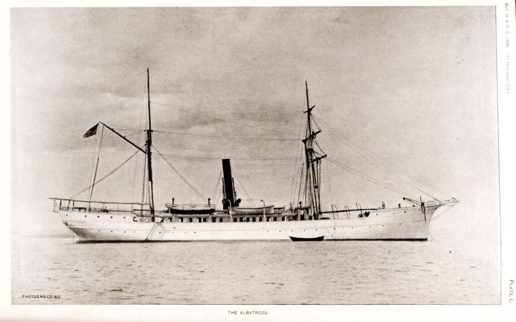 The United States Fish Commission Steamer Albatross as shown on page 259 of the Bulletin of the United States Fish Commission for 1896. NOAA Central Library